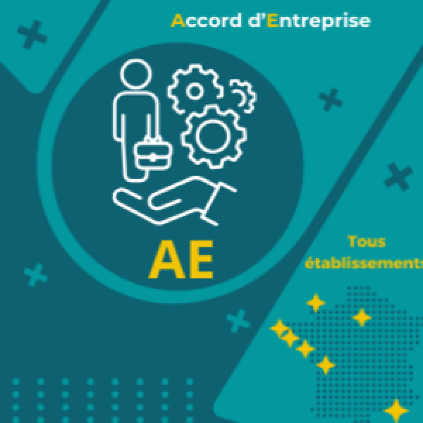 Commission d'interprétation de l'accord d'entreprise