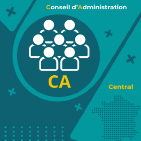 Conseil d'Administration : A la barre du premier semestre 2025