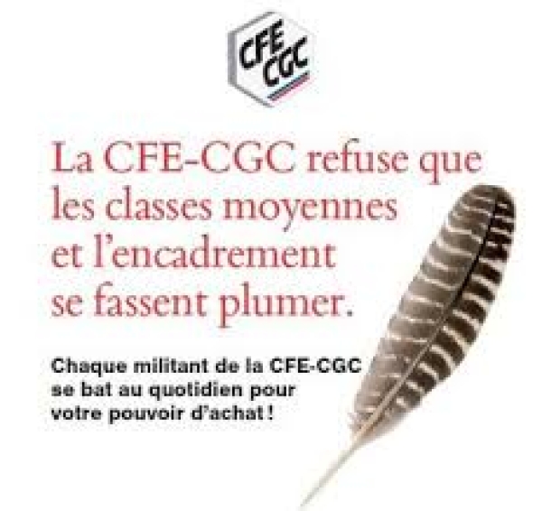 NAO : Compte rendu de la réunion du 4 décembre