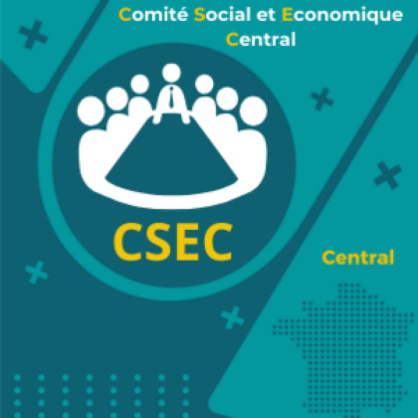 CSE-C de décembre : Notre déclaration liminaire et compte rendu